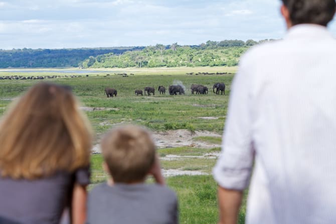 Familie beobachtet Elefanten 