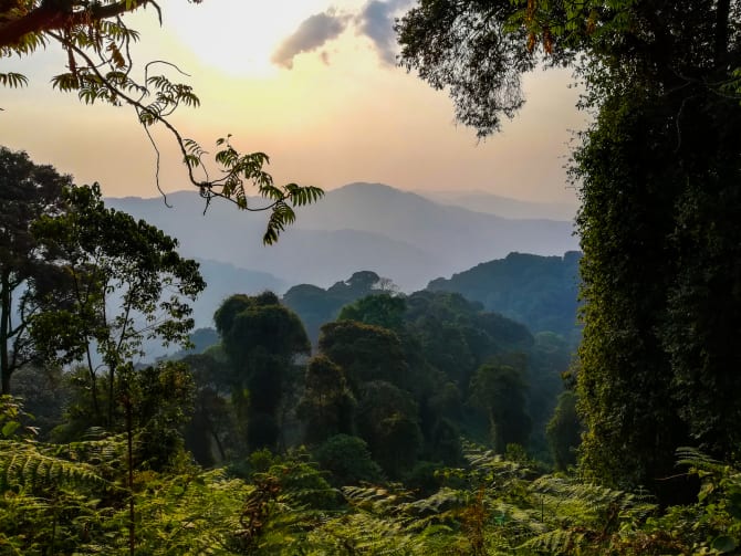 Sonnenaufgang über den Bergen des Nyungwe Waldes