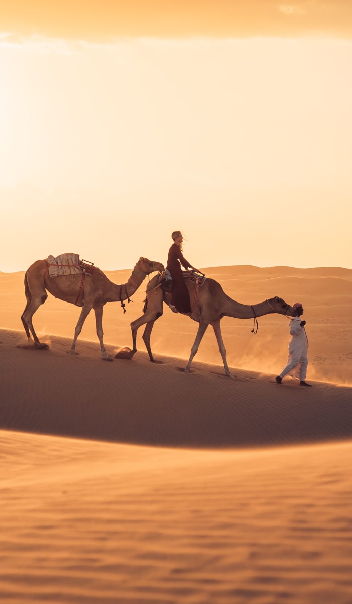 A person leading two camels across the dunes of Wahiba Sands during sunset.