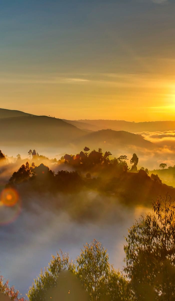 Sunset over a foggy forested landscape with hills in Uganda.