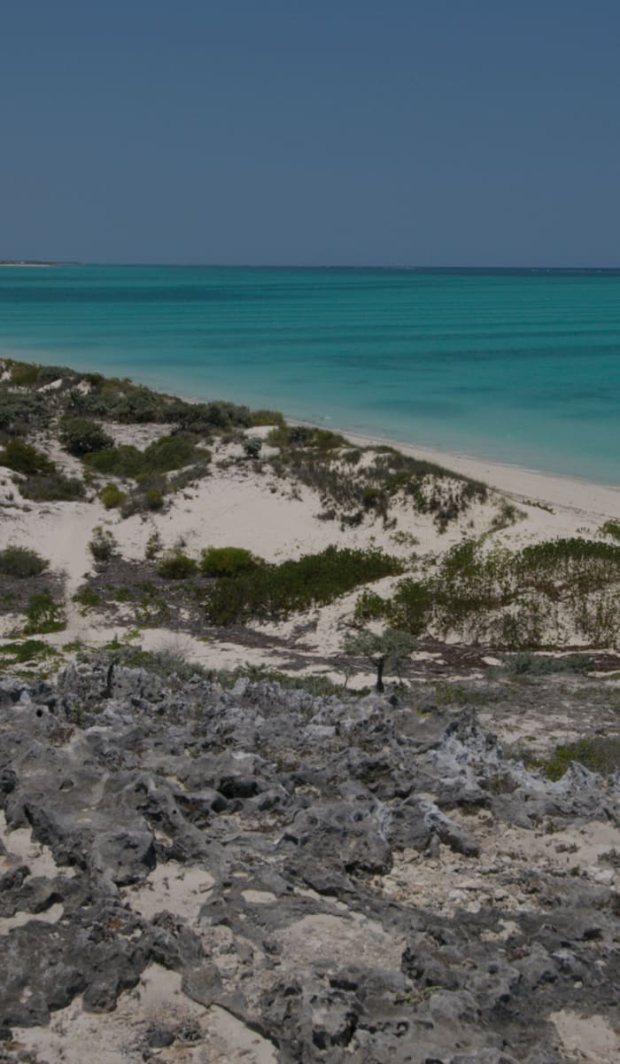 Einsame Sandstrand mit helltürkisem Wasser, felsigem Vordergrund und spärlicher Vegetation am Ufer unter klarem Himmel.