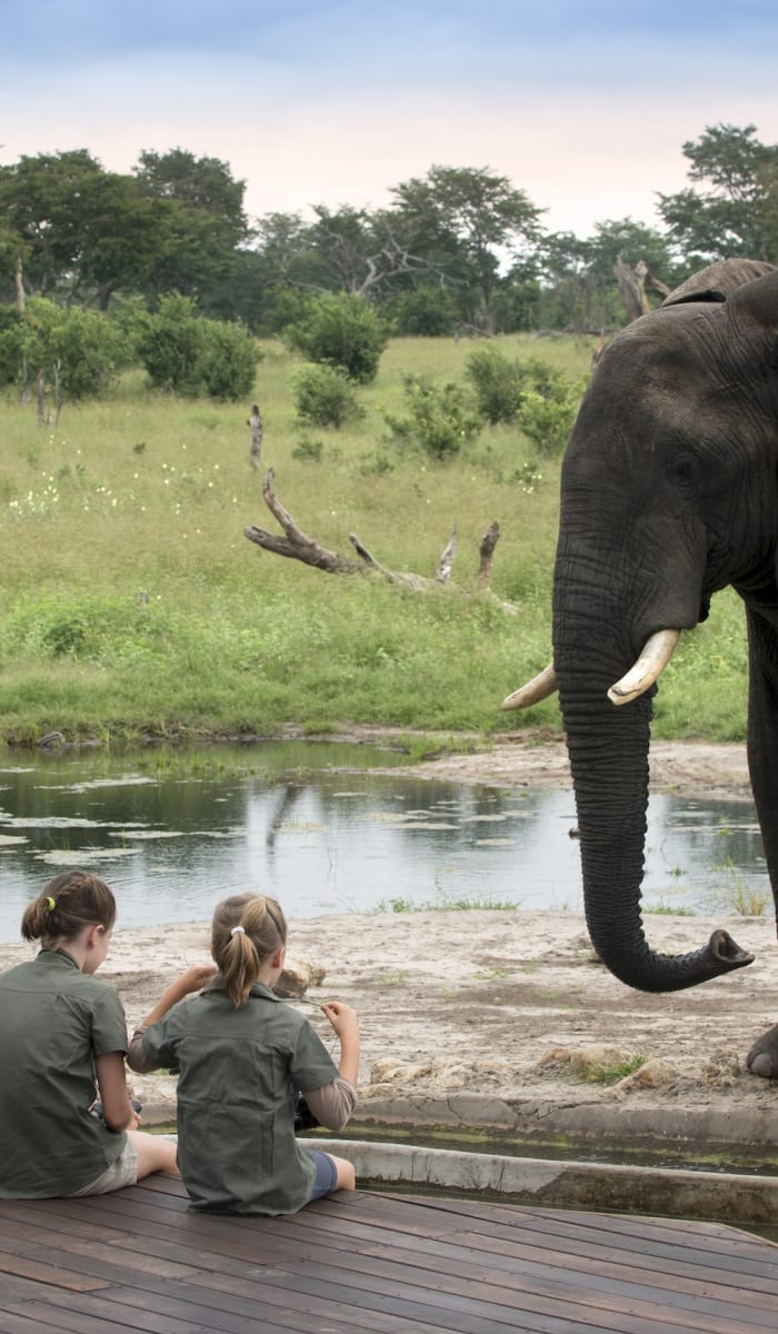 Children sitting on a wooden platform observing an elephant across a small river in a lush savannah.