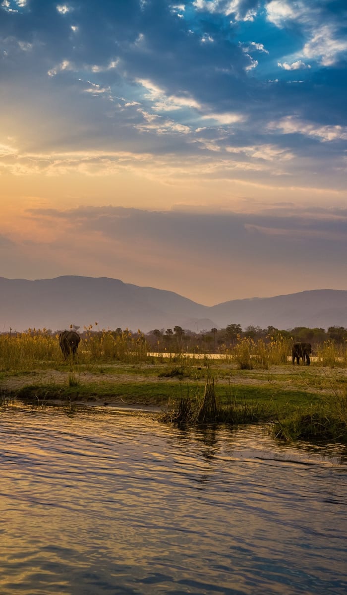 Elefanten, die in der Nähe eines Flusses bei Sonnenuntergang im Zambezi-Nationalpark grasen, mit Bergen im Hintergrund.