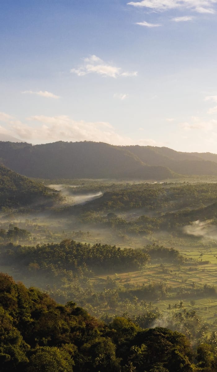 A lush green valley with mist rising among hills under a partly cloudy sky in Bali.