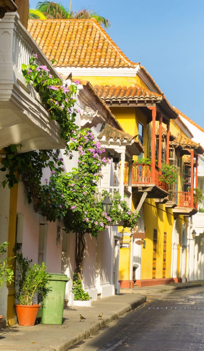 Bunte koloniale Gebäude säumen eine enge Straße in der Altstadt von Cartagena, mit Topfpflanzen und Holzterrassen.