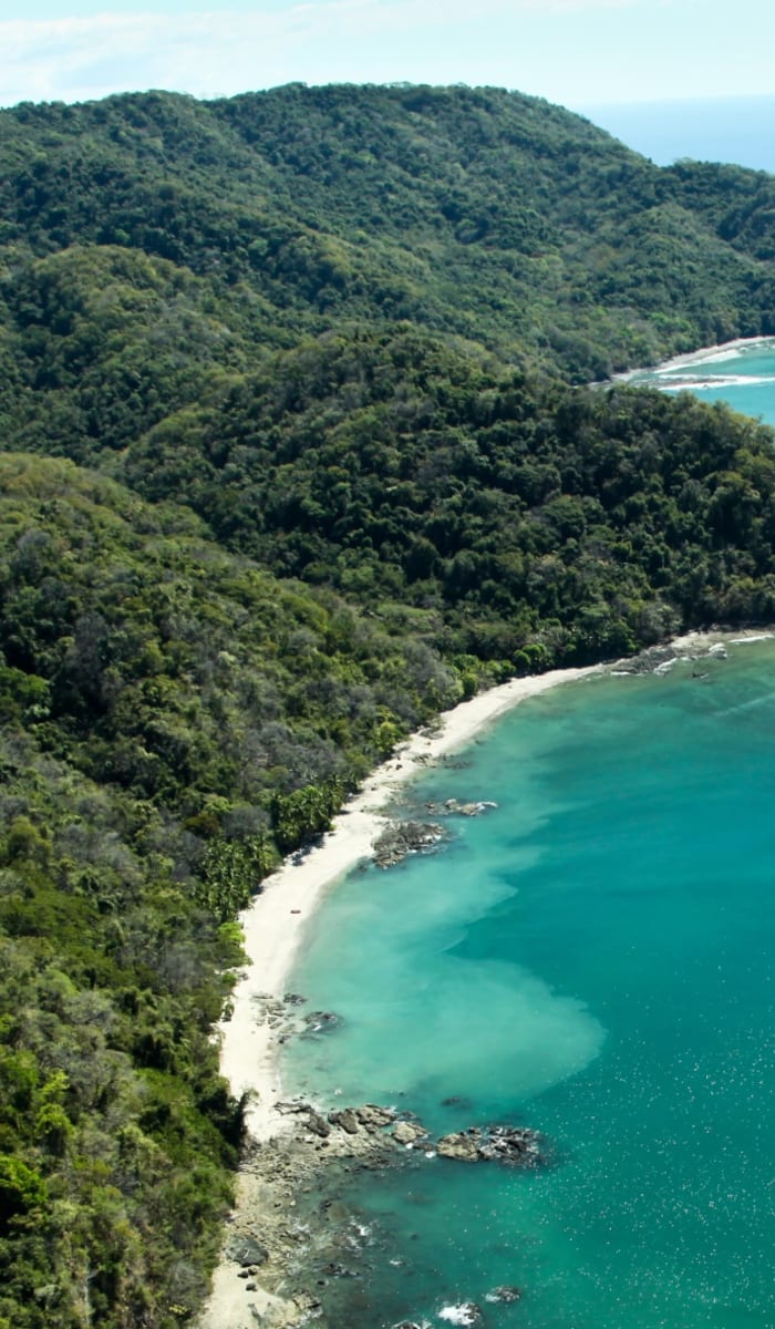 Ein üppiger grüner Wald trifft auf einen sandigen Strand mit klarem blauen Wasser entlang einer Küste.