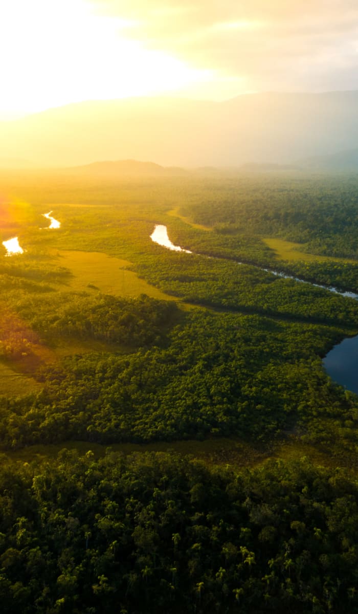 Aerial view of the lush Amazon rainforest with winding rivers at sunset near Manaus, Brazil.
