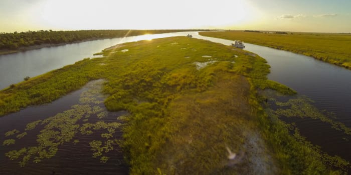 Grüne Wiesenlandschaft mit zwei Flussarmen