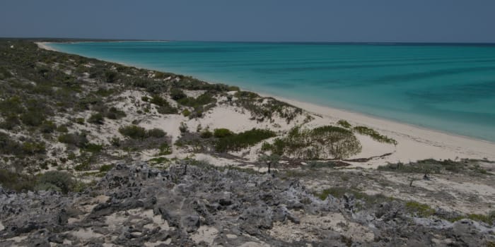 Dünen und Meer