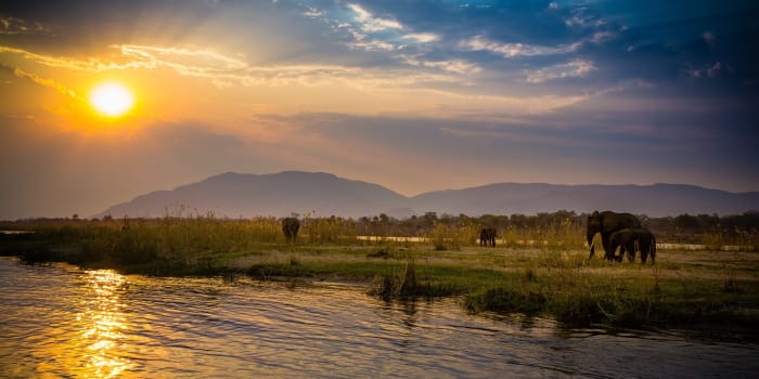 Landschaft bei Sonnenuntergang mit Elefanten und Berge im Hintergrund