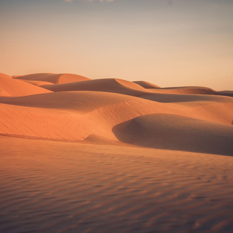Vast orange sand dunes under a clear sky in the Wahiba Sands desert.