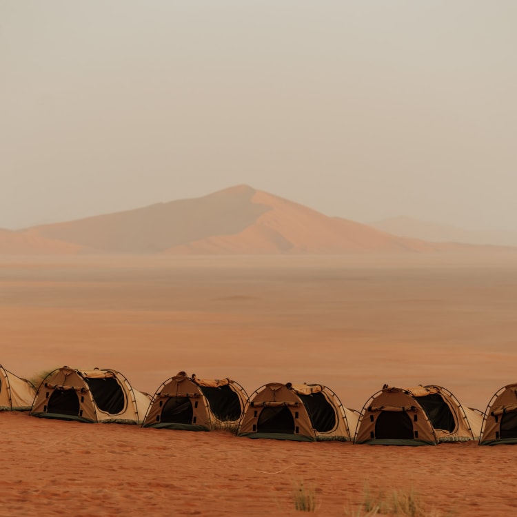 Mehrere Zelte in einer Wüstenlandschaft mit bergigem Hintergrund in Oman.