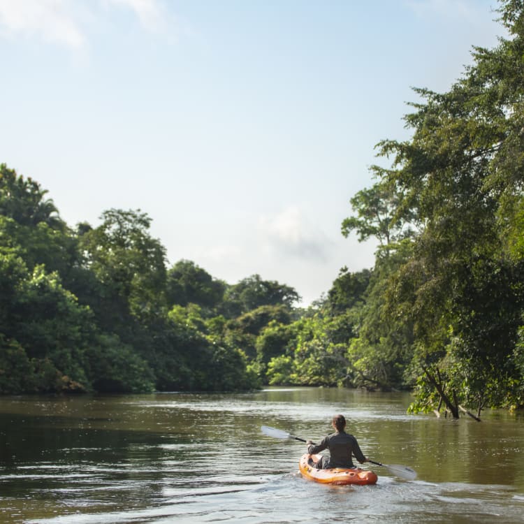 Eine Person, die in einem Kayak auf einem ruhigen Fluss zwischen dichtem grünen Wald im Odzala-Gebiet der Republik Kongo paddelt.