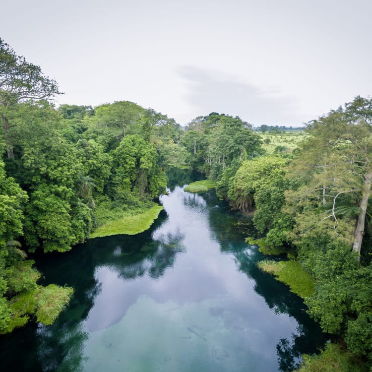 Ein ruhiger Fluss fließt durch dichten grünen Wald im Kongorepublik.