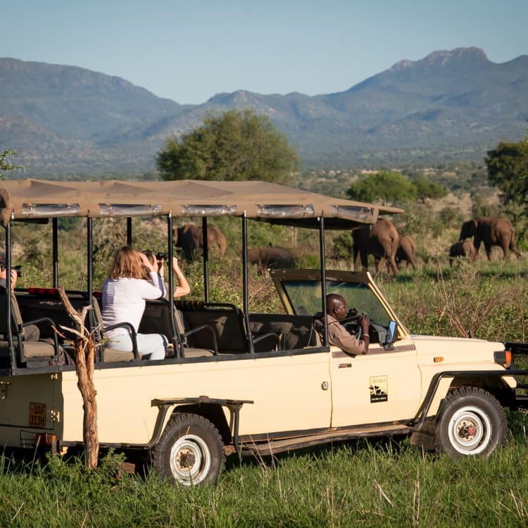 Offenes Safarifahrzeug mit Elefanten im Hintergrund