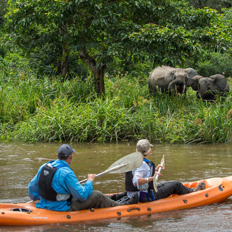 Zwei Kanufahrer auf dem Fluss beobachten Elefanten am Ufer