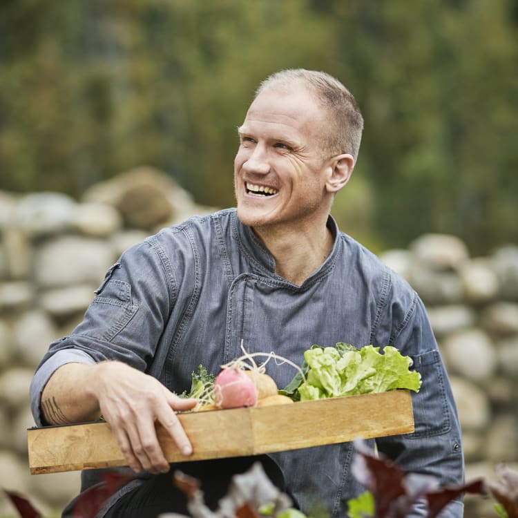 Küchenchef sammelt Gemüse im Garten