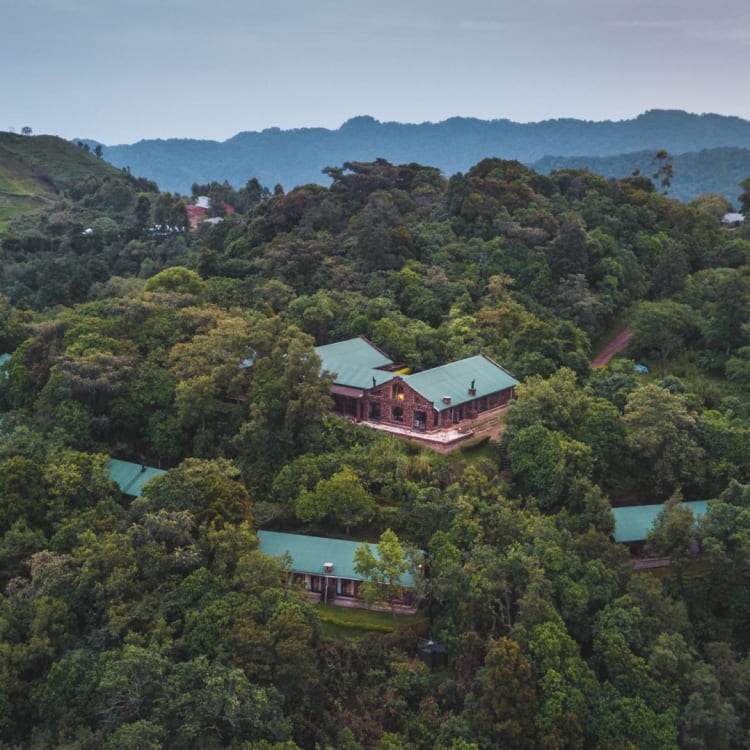 Clouds Mountain Gorilla Lodge inmitten dichter Vegetation