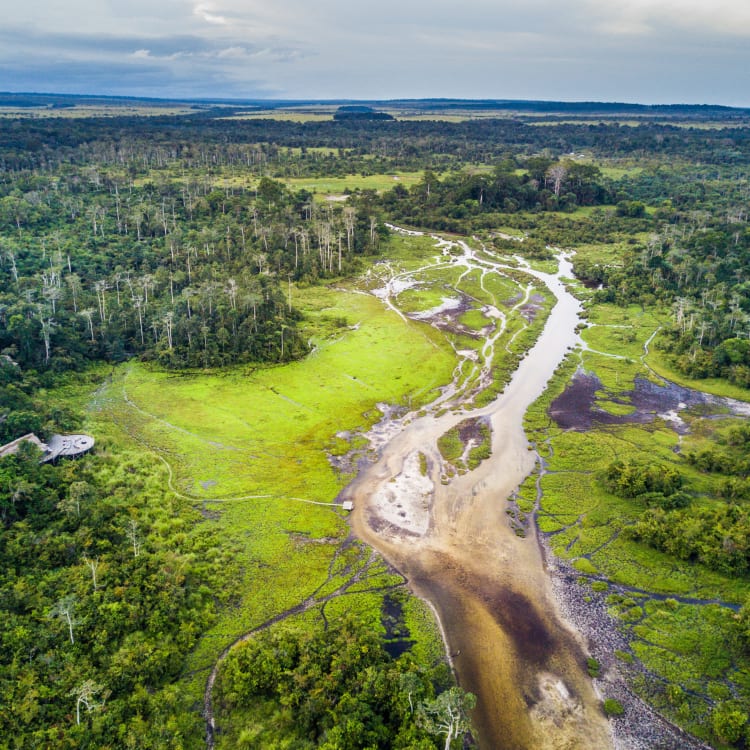 Ausgetrockneter Flusslauf im Odzala Nationalpark