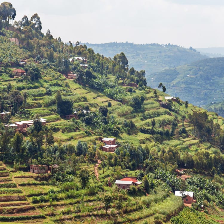 Discover Rwanda exclusively - Rwanda Trip | Gorilla Memories