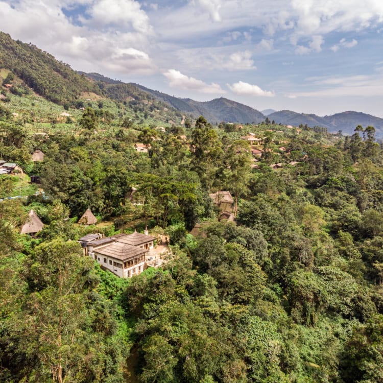 Areal der Bwindi Lodge inmitten des Bwindi Waldes