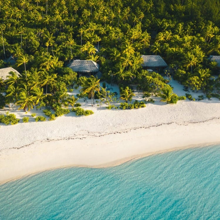 Luftaufnahme des The Brando Hotels eingebettet zwischen üppigen grünen Palmen auf einem weißen Sandstrand mit türkisfarbenem Wasser.
