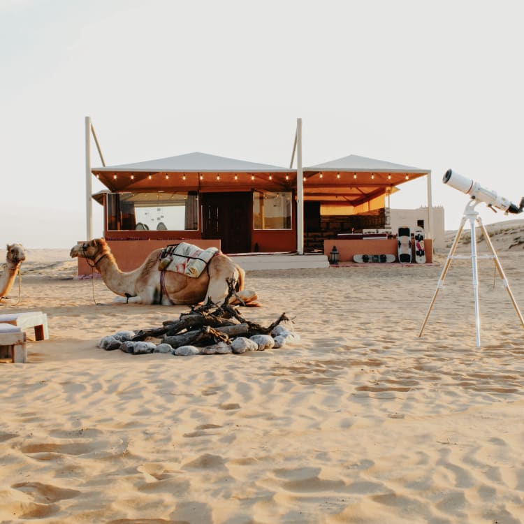 A desert scene with two camels resting near a bonfire, a telescope on a tripod, and a modern tent with seating inside.