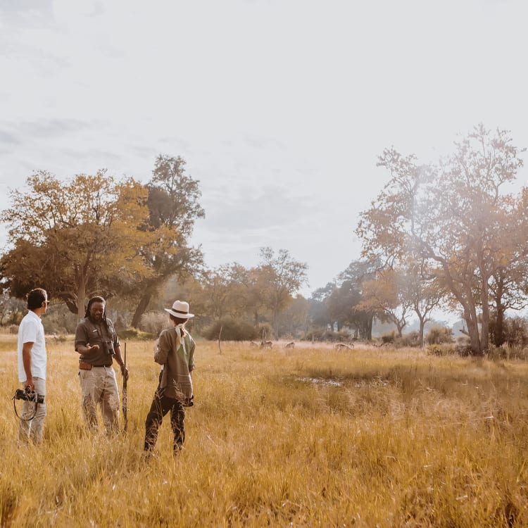 Three people walking through a golden grass field with trees in the background at Vumbura Plains in the Okavango Delta.