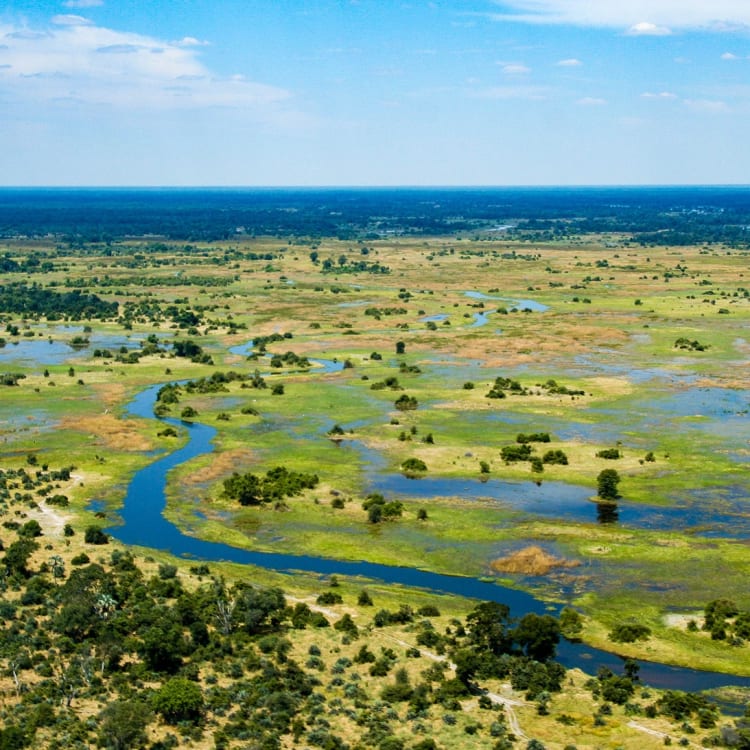 Aerial view of the lush green Okavango Delta with winding waterways and scattered trees in Botswana.
