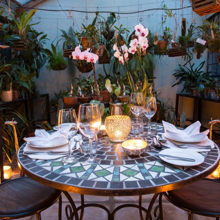 Private dinner in the orchid-house