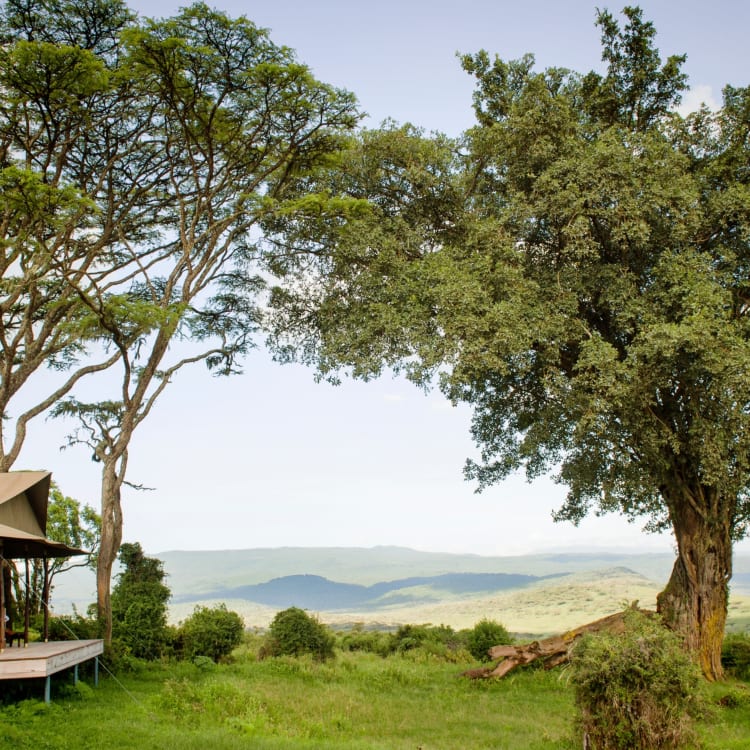 Gästezelt und Blick in den Ngorongoro Krater