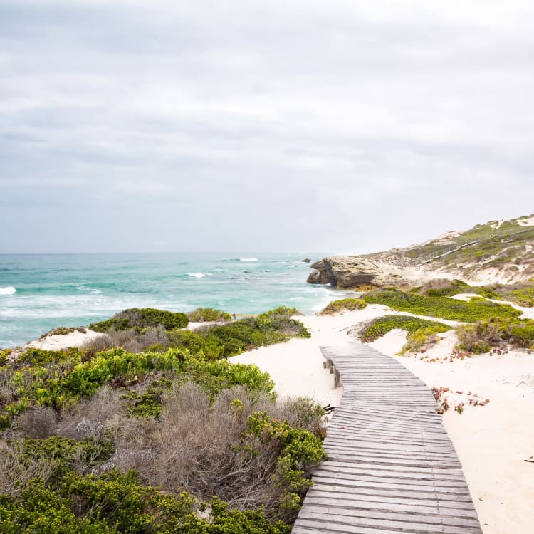Ein gewundener Holzweg führt durch üppiges grünes Gebüsch entlang eines Sandstrandes in Richtung der felsigen Küste im De Hoop Naturreservat, Südafrika.