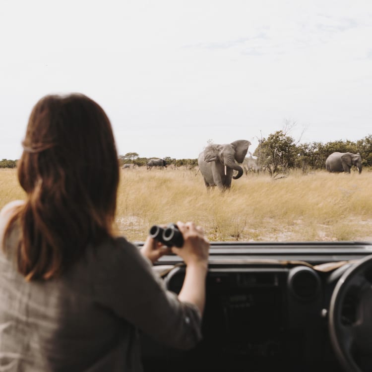 Eine Frau sitzt mit einem Fernglas im Safarifahrzeug und beobachtet einen Elefanten