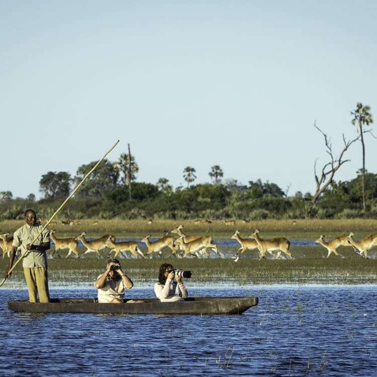 Zwei Gäste fotografieren von einem Mokoro aus, während ihr Guide durch das Wasser stakt und im Hintergrund eine Herde Lechwe-Antilopen vorbeizieht.