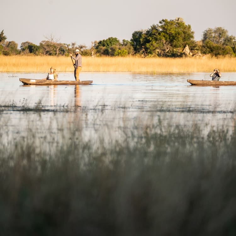 Zwei Mokoro-Boote gleiten sanft durch das ruhige Wasser eines Flusses oder Sees, umgeben von goldgelben Schilfgräsern und üppigem Grün.