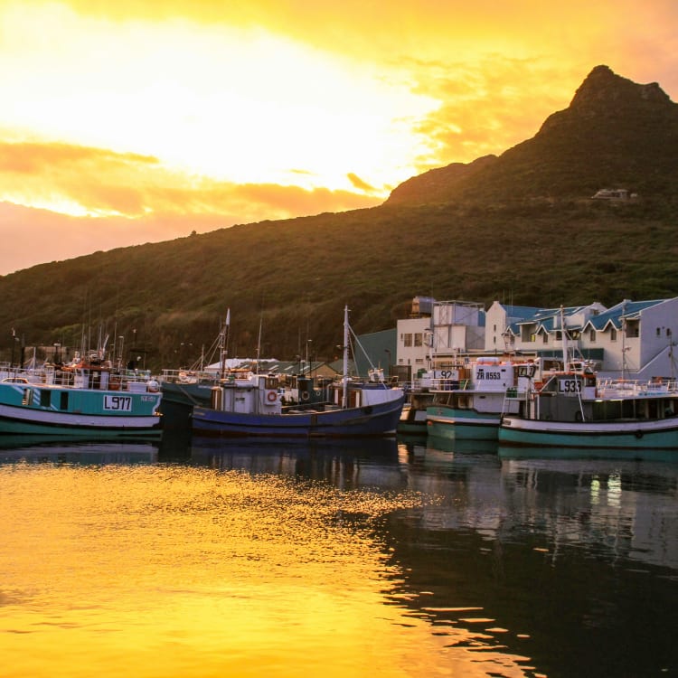 Boote an einem Hafen während eines lebhaften Sonnenuntergangs mit einer bergigen Landschaft im Hintergrund.