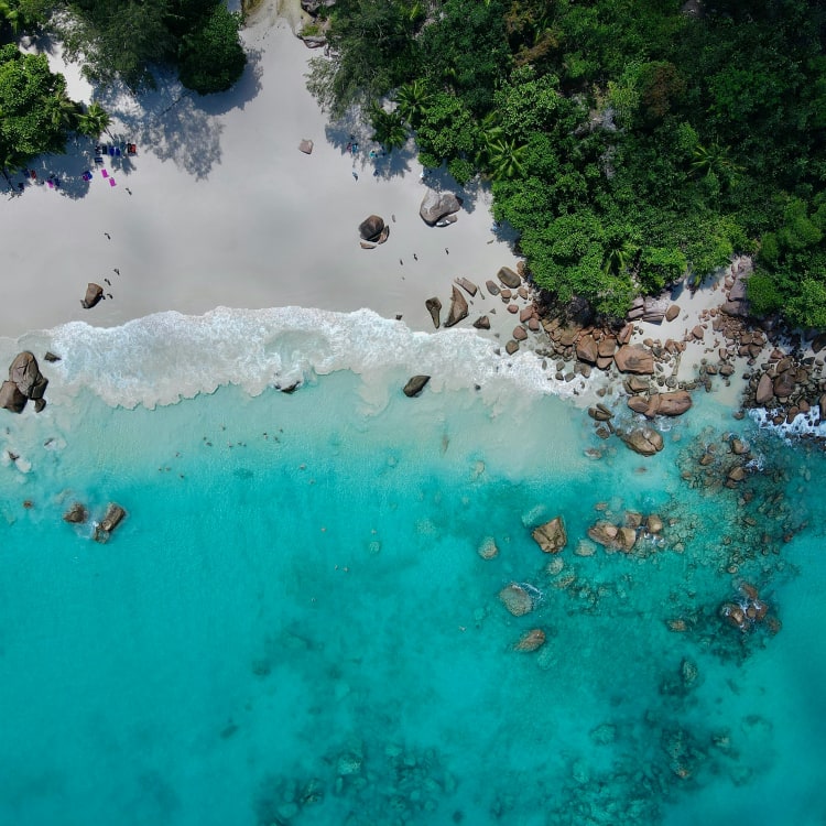 An aerial view of a pristine beach with white sand, turquoise waters, and dense green trees.