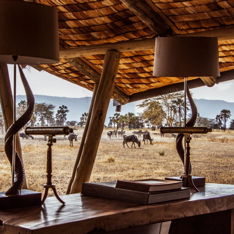 Blick vom Loungebereich der Chem Chem Lodge auf grasende Zebras und Gnus