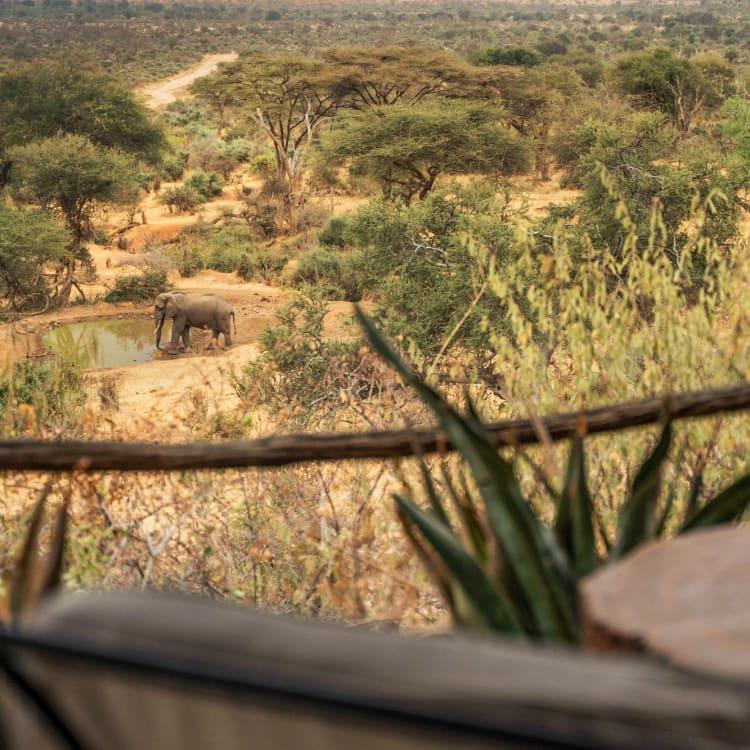 Blick von der Veranda im Sarara Camp auf das Wasserloch mit Elefant