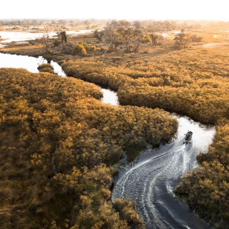 An aerial view of a river winding through dense, golden-brown wetlands at sunset.