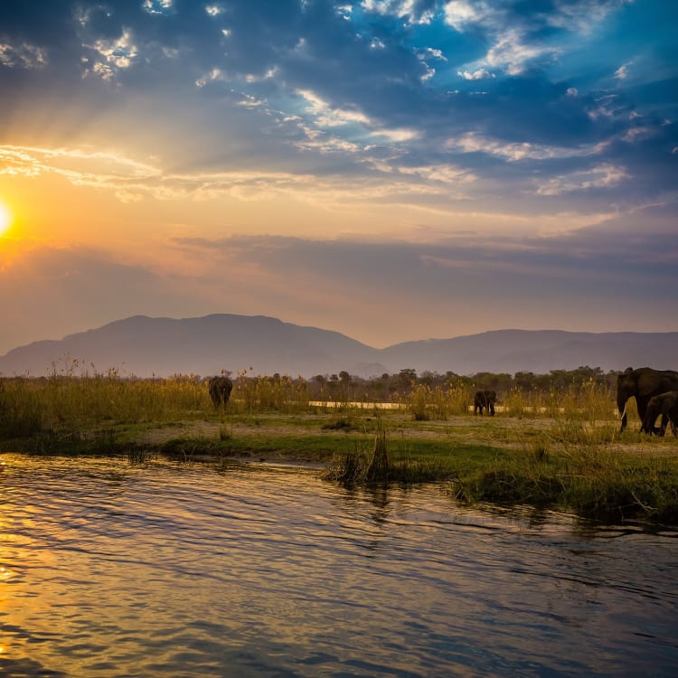 Elefanten, die in der Nähe eines Flusses bei Sonnenuntergang im Zambezi-Nationalpark grasen, mit Bergen im Hintergrund.