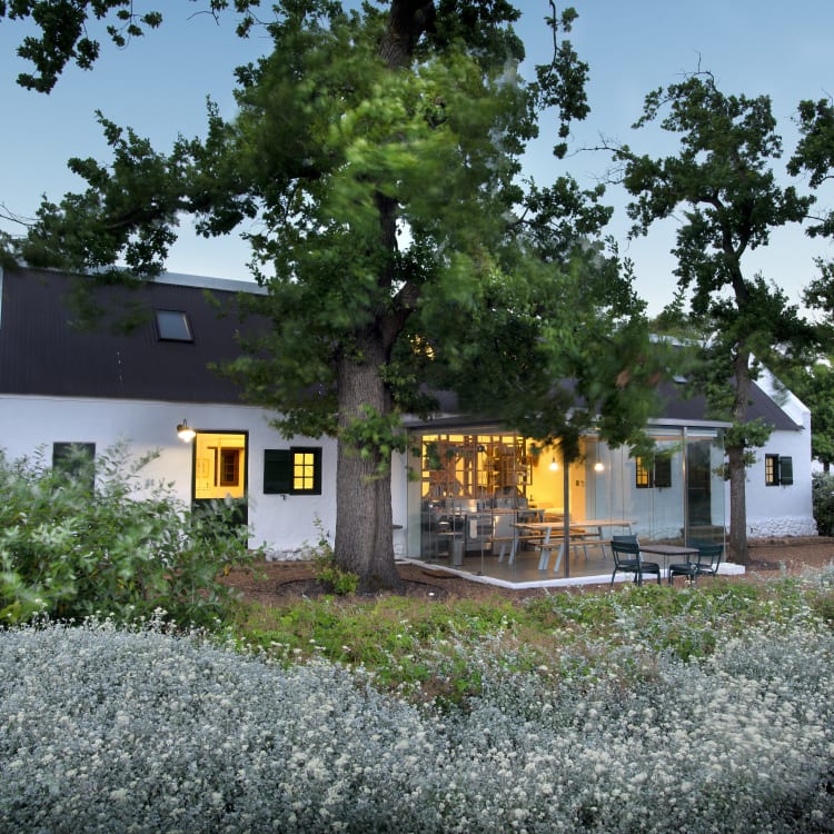 Ein gemütliches Cottage, umgeben von üppigem Grün mit warmem Licht, das aus den Fenstern im frühen Abend strahlt.