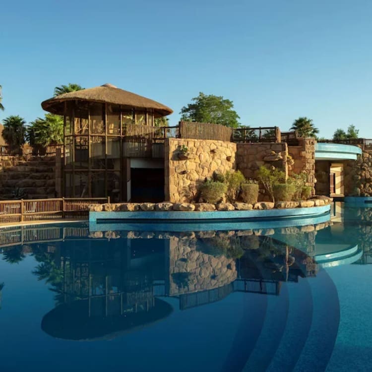 a swimming pool with a building and plants in the background