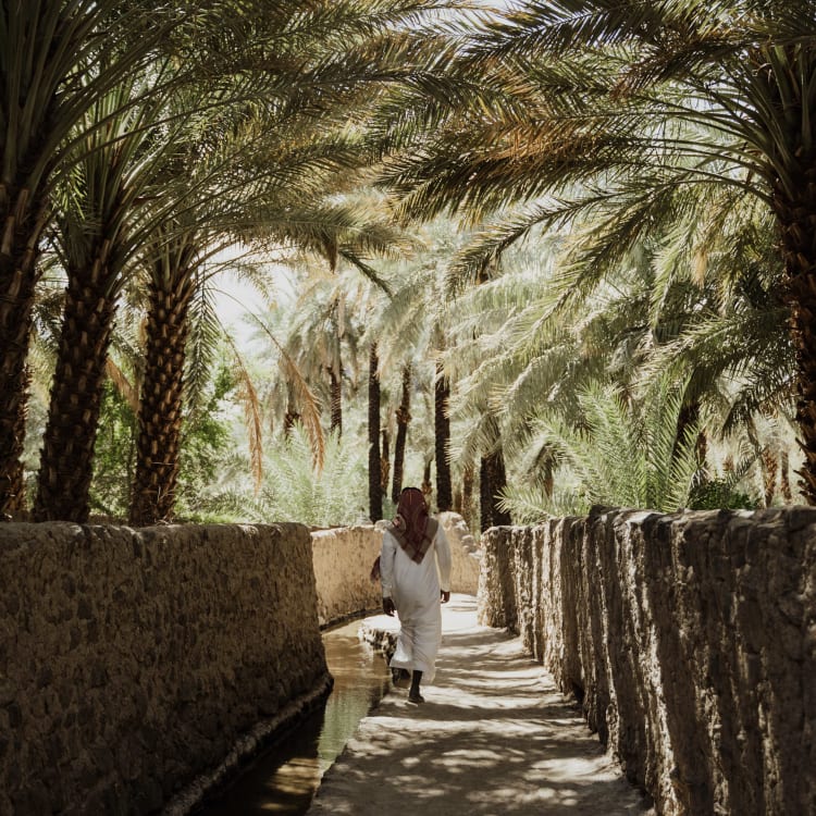 A woman walking through a walkway covered by palm trees