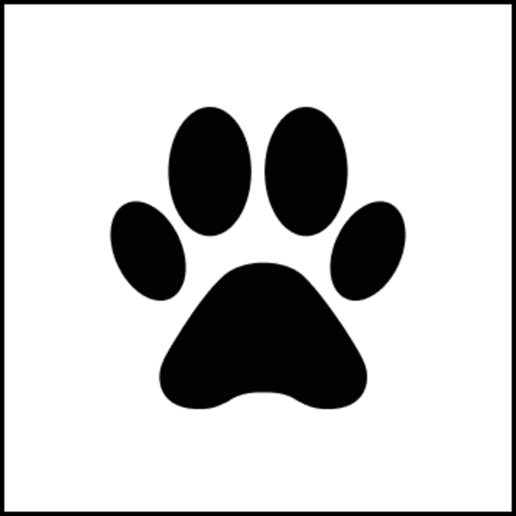 Black and white symbol of a paw print within a white square with a black border, represents the Safari Memories logo.