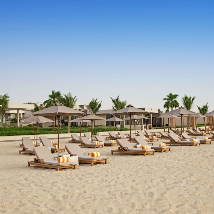 Luxury sunbeds and umbrellas arranged on a sandy beach with a backdrop of palm trees and resort buildings under a clear blue sky.