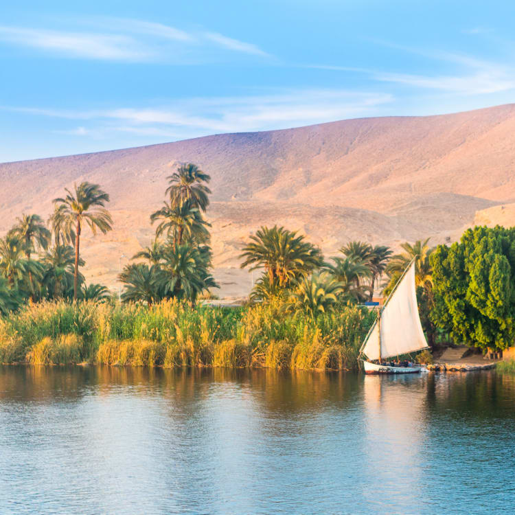 A traditional sailboat floats on the Nile River near lush green vegetation and palm trees with a desert mountain in the background.