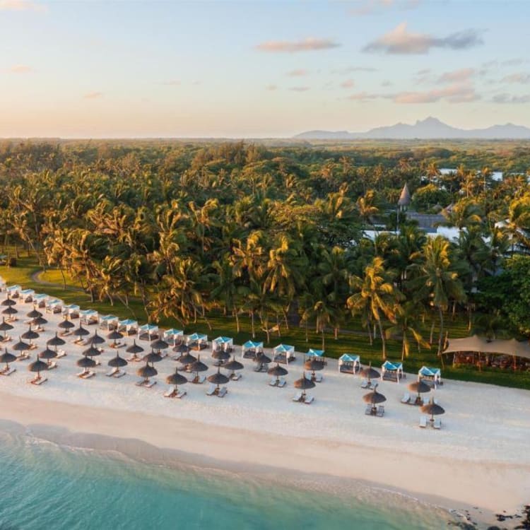 Sunset view over a tropical beach resort with rows of umbrellas and lush green trees.