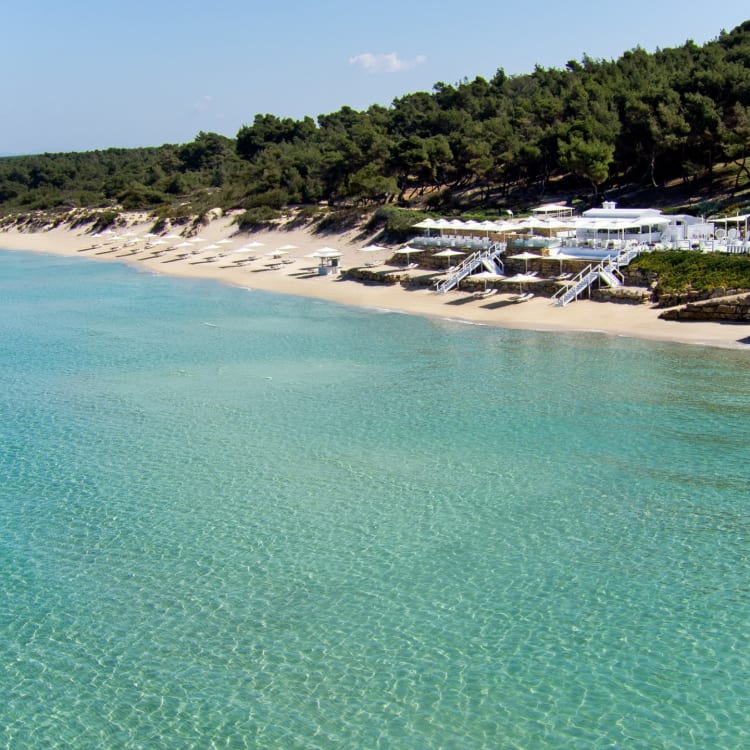 Eine ruhige Strandlandschaft mit klarem türkisfarbenem Wasser, einem Sandstrand und einer Reihe von Strandhütten vor einem bewaldeten Hintergrund.