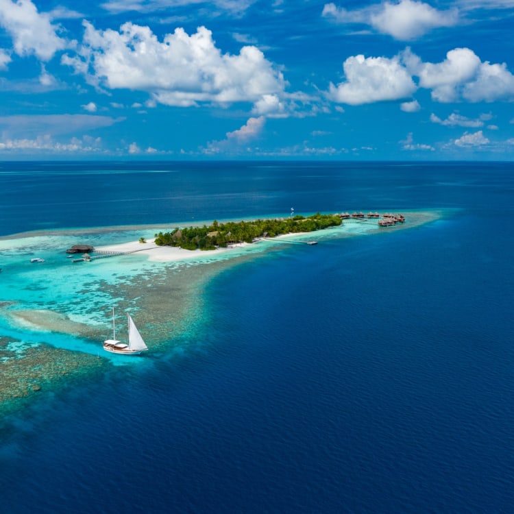Ein Luftbild vom Mirihi-Insel-Resort mit klarem blauen Wasser, einem Sandstrand und dichter Vegetation.
